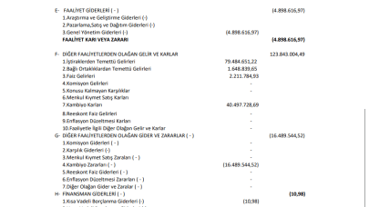 ECZYT: Eczacıbaşı Yatırım Holding Gelir Tablosu Kar Yazdı