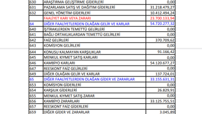 GEREL: Gersan Elektrik Gelir Tablosu Kar Yazdı