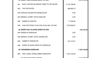 IEYHO: Işıklar Enerji Gelir Tablosu Zarar Yazdı