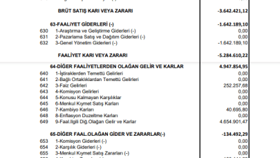 IPEKE: İpek Doğal Enerji Gelir Tablosu Zarar Yazdı