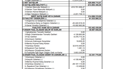 KARTN: Kartonsan Gelir Tablosu Kar Yazdı