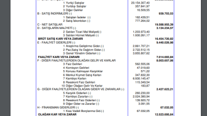 LINK: Link Bilgisayar Gelir Tablosu Kar Yazdı