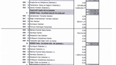 MSGYO: Mistral GYO Gelir Tablosu Kar Yazdı