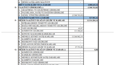 MZHLD: Mazhar Zorlu Holding Gelir Tablosu Kar Yazdı