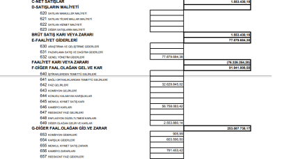 NTHOL: Net Holding Gelir Tablosu Zarar Yazdı