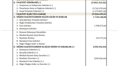 PAGYO: Panora GYO Gelir Tablosu 30 Milyon TL Kar Yazdı