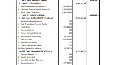 PAPIL: Papilon Savunma Gelir Tablosu Kar Yazdı