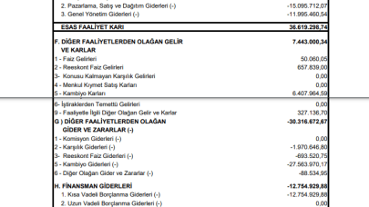 PENGD: Penguen Gıda Gelir Tablosu Açıklandı