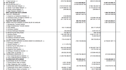 PETKM: Petkim Gelir Tablosu 907 Milyon TL Kar Yazdı
