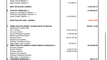 PRKME: Park Elektrik Gelir Tablosu 109 Milyon TL Kar Yazdı