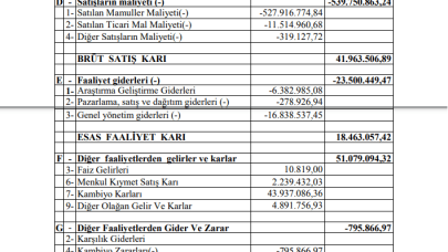 SILVR: Silverline Gelir Tablosu Kar Yazdı