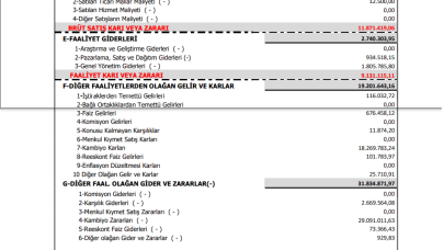 SNPAM: Sönmez Pamuklu Gelir Tablosu Kar Yazdı