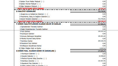 SONME: Sönmez Filament Gelir Tablosu Kar Yazdı