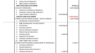 TURGG: Türker Proje Gelir Tablosu Zarar Yazdı