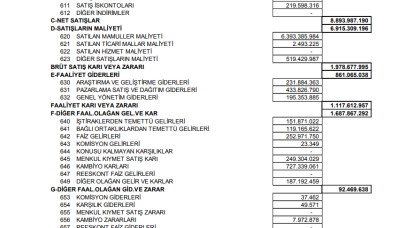 VESTL: Vestel Gelir Tablosu Kar Yazdı