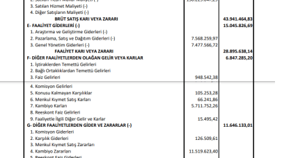 YKSLN: Yükselen Çelik Gelir Tablosu Kar Yazdı