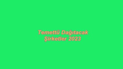 Temettü Dağıtan Şirketler 2023