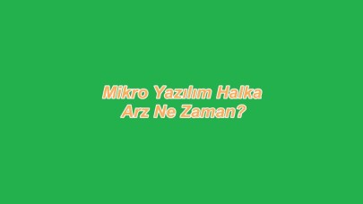 Mikro Yazılım Sahibi Kim? Mikro Yazılım Halka Arz Ne Zaman?