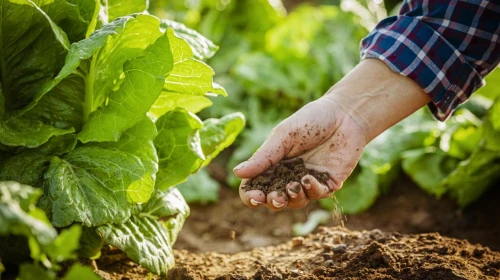 Tarım finansmanında yeni dönem: KGF ve EFSE güçlerini birleştirdi