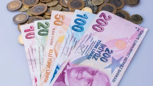 Vatandaşlık maaşı Meclis yolunda