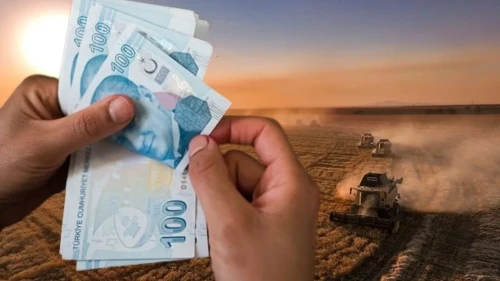 Çiftçilere 19,5 milyar liralık destek bugün hesaplara yatıyor