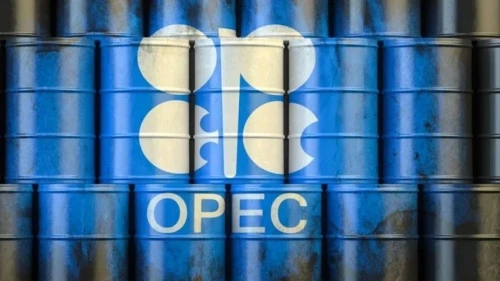 OPEC'ten 2050 projeksiyonu: Küresel enerji talebi yüzde 23 artacak