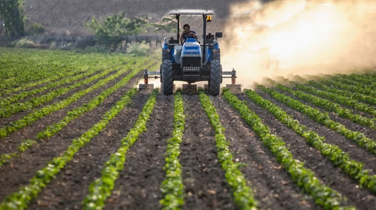 Tarım-ÜFE yıllık yüzde 45,40 arttı: En sert yükseliş meyve ve sebzede