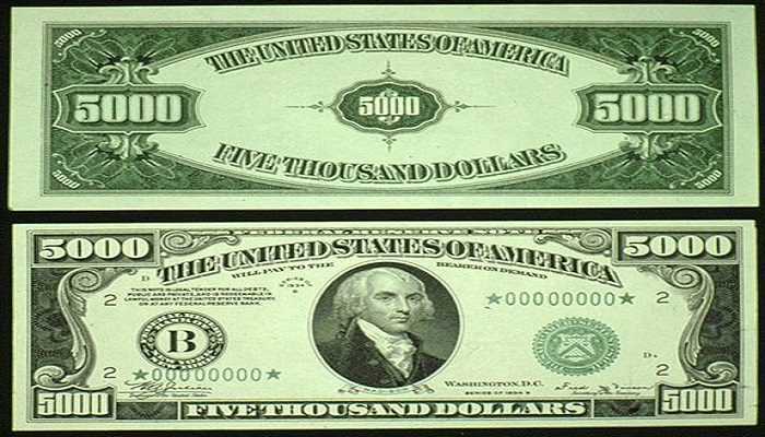 5-bin-dolar-banknot