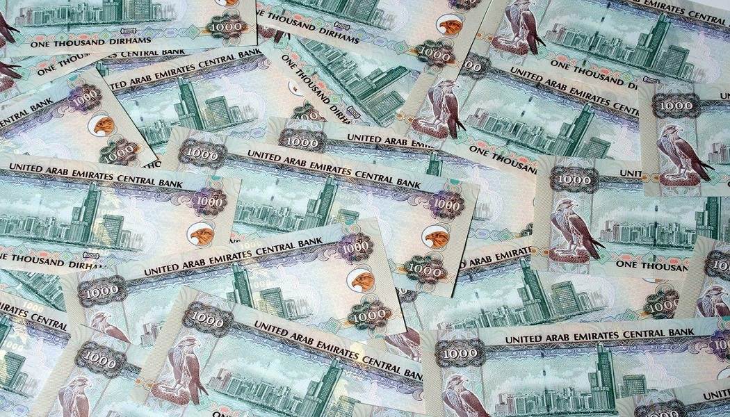 Birleşik Arap Emirlikleri Para Birimi BAE Dirhemi