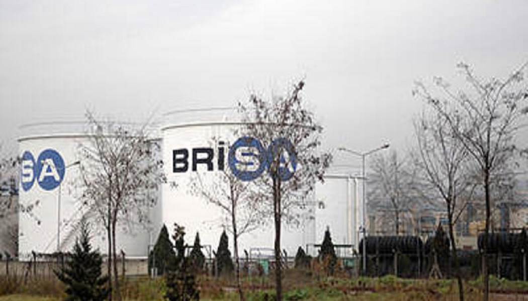 Brisa Bridgestone Ortaklık Yapısı ve BRISA Hisse Performansı