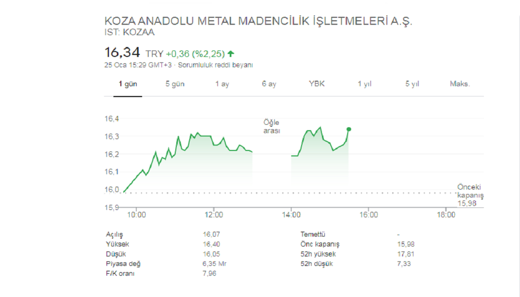 Koza Anadolu Metal Ortaklık Yapısı KOZAA Hisse